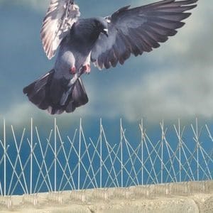 تركيب طارد الحمام
