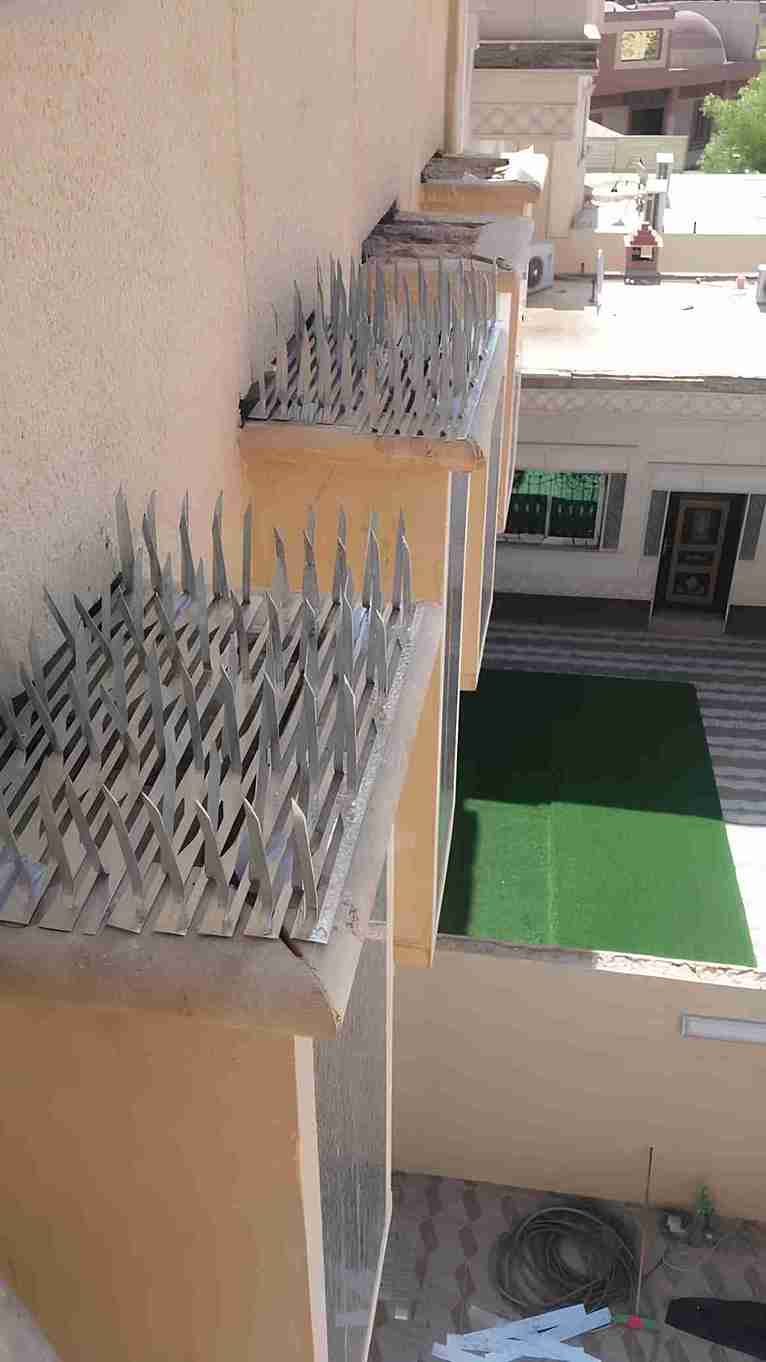 شركة تركيب طارد الحمام بالدمام
