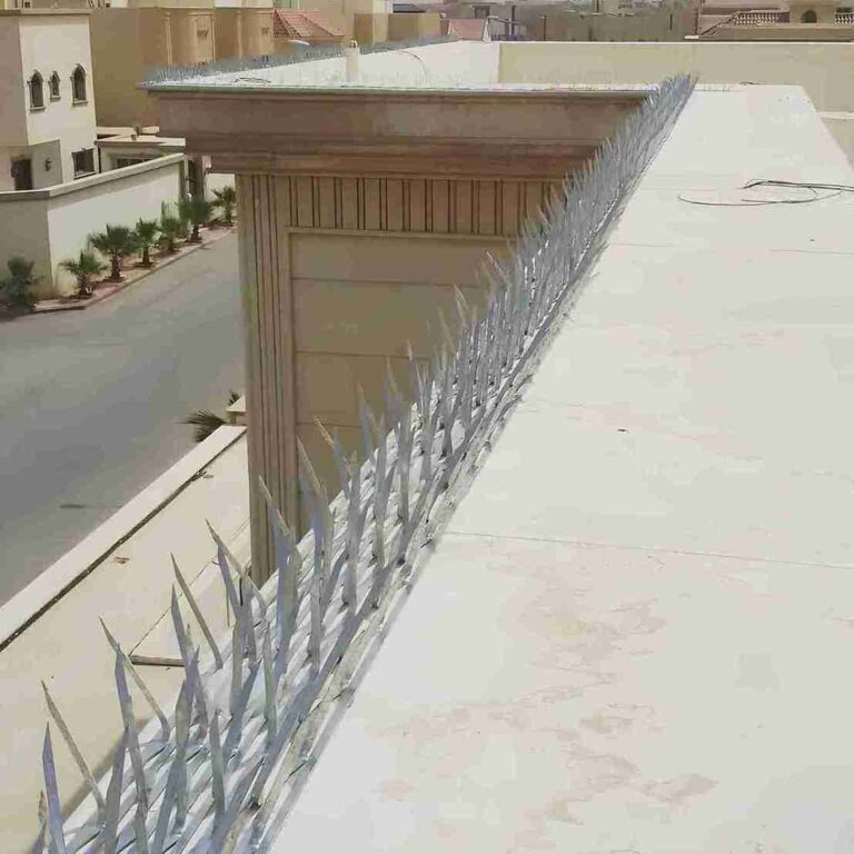 مكافحة حمام بالدمام