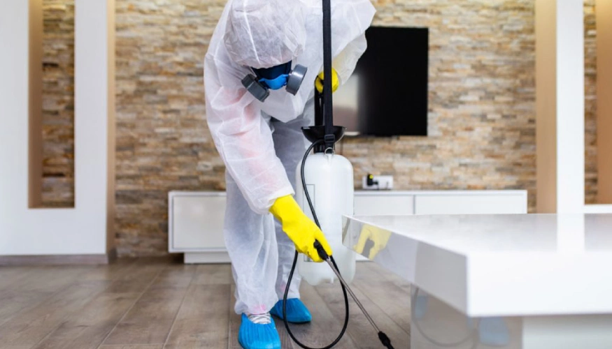 16345-pest-control (1)