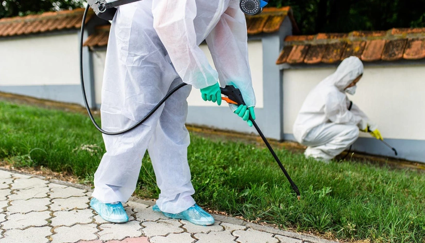 16345-pest-control (3)