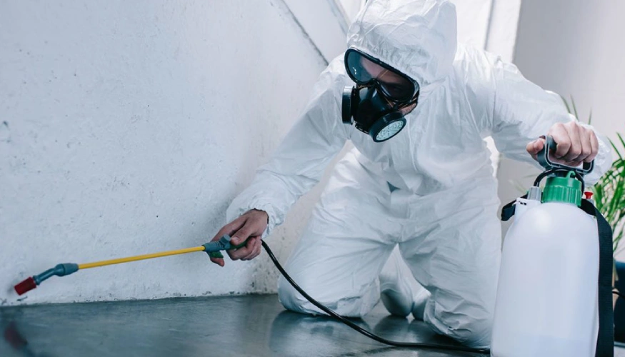 16345-pest-control (4)